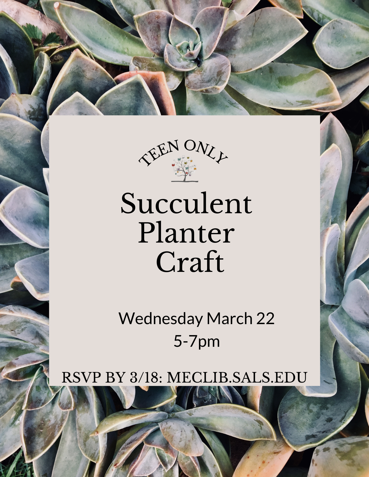 Teen Only Succulent Planter @ Mechanicville District Public Library | Mechanicville | New York | United States