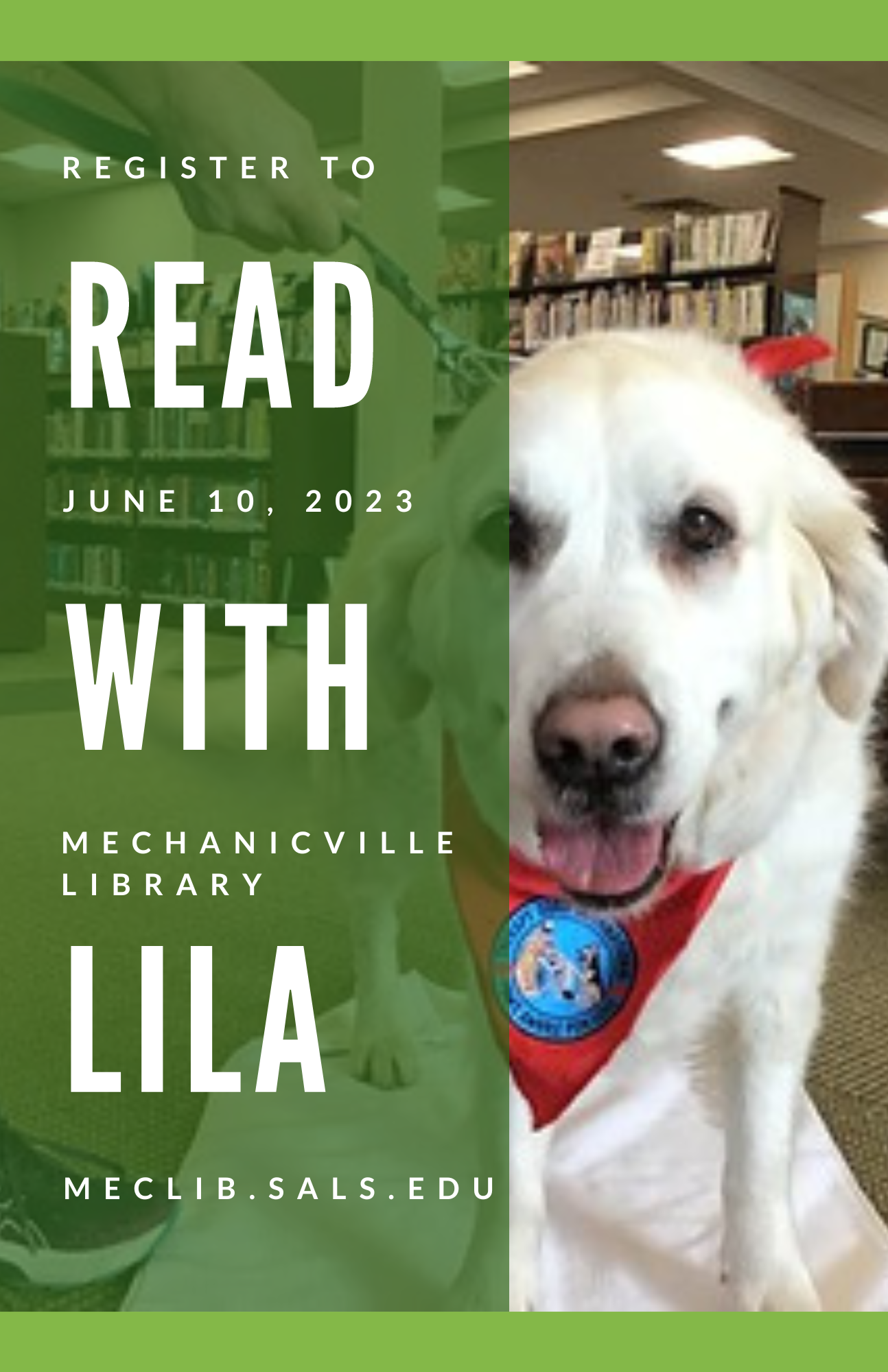 Reading Therapy Dog Sessions with Lila! @ Mechanicville District Public Library | Mechanicville | New York | United States