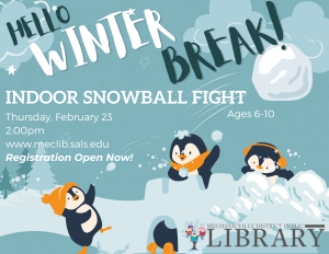 Indoor Snowball Fight (Ages 6-10) @ Mechanicville District Public Library | Mechanicville | New York | United States
